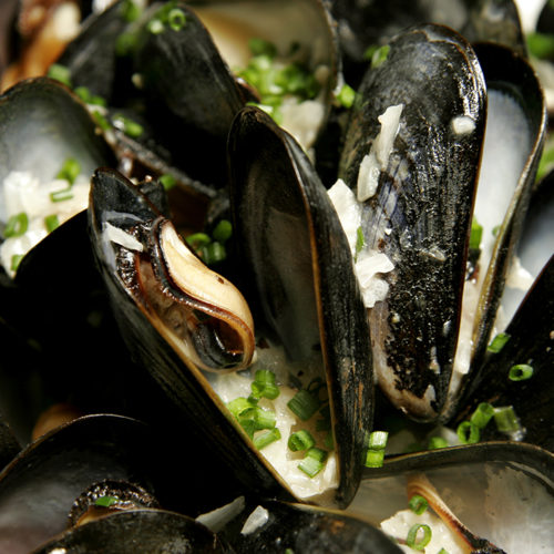 Delicious Mussels at the Plough in Philadelphia